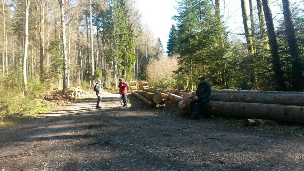 wpid-20150406_095652.jpg