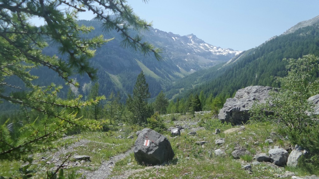 wpid-20150702_114519.jpg
