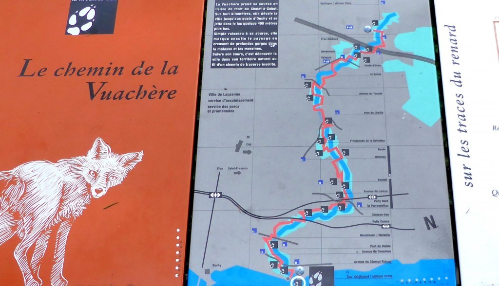 le-chemin-de-la-vuachc3a8re (2)