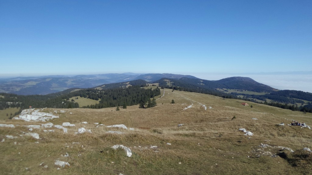 wpid-20151026_140254.jpg